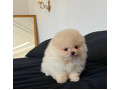 -small-0