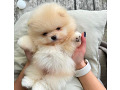 -small-2
