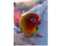 -small-3