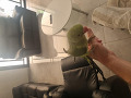 -small-2