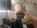 -small-3