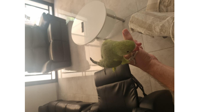 -big-1