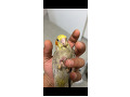 -small-1