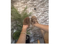 -small-4