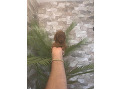 -small-3