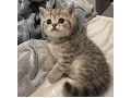 -small-3