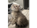 -small-2