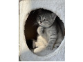 -small-4