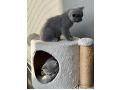 -small-3