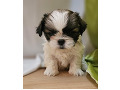 -small-3