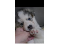 -small-0