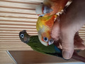-small-2