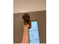 -small-2