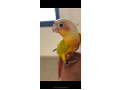 -small-2