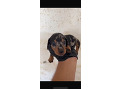 -small-1