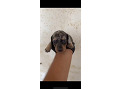 -small-0