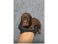 -small-2