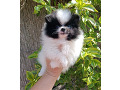 -small-0