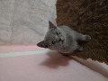 3-small-7