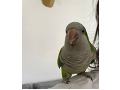 -small-1