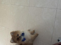 -small-3