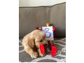 -small-3
