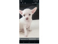 -small-2