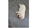 -small-0