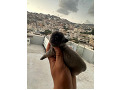 -small-3