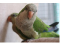 -small-1