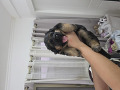 -small-2