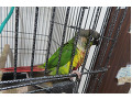 -small-3