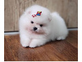 -small-2