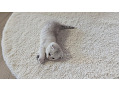 -small-2
