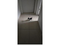 -small-2