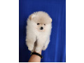 -small-1