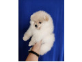 -small-0