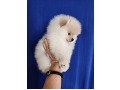 -small-2
