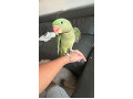 -small-2