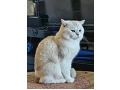 -small-1