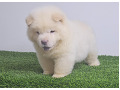 -small-1