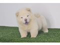 -small-4