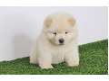 -small-6