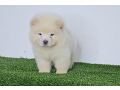 -small-6