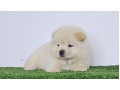-small-5