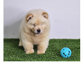 -small-5