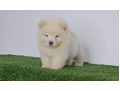 -small-5