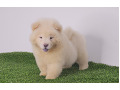 -small-0