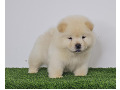 -small-4