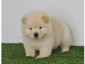 -small-6